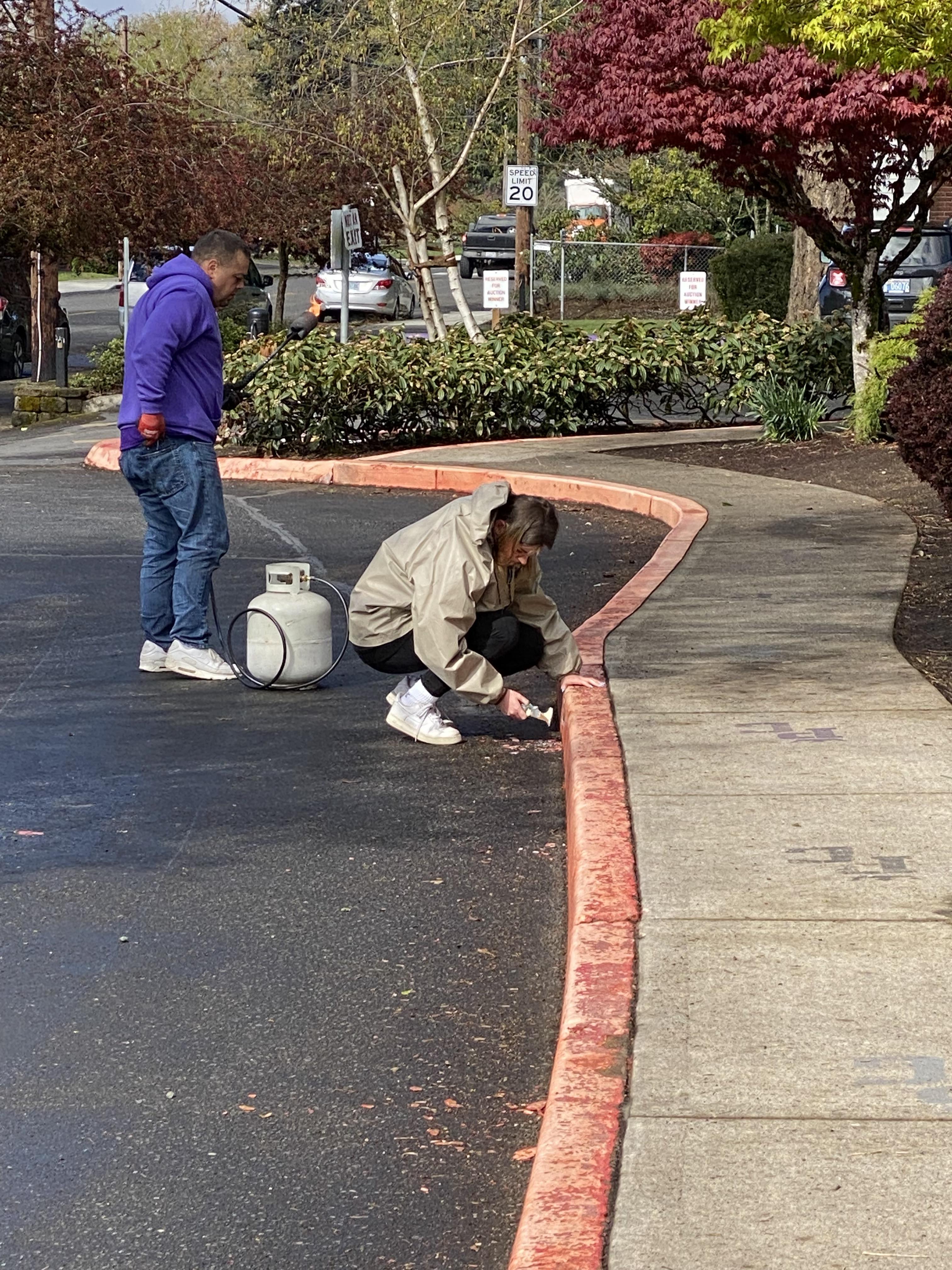 Cleaning curb