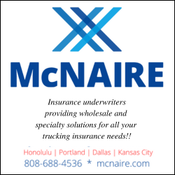 McNaire logo