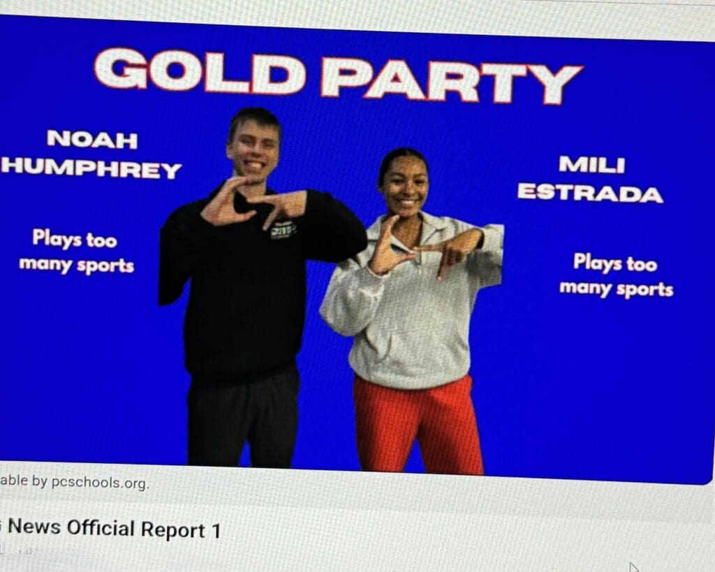 Media report on the political parties