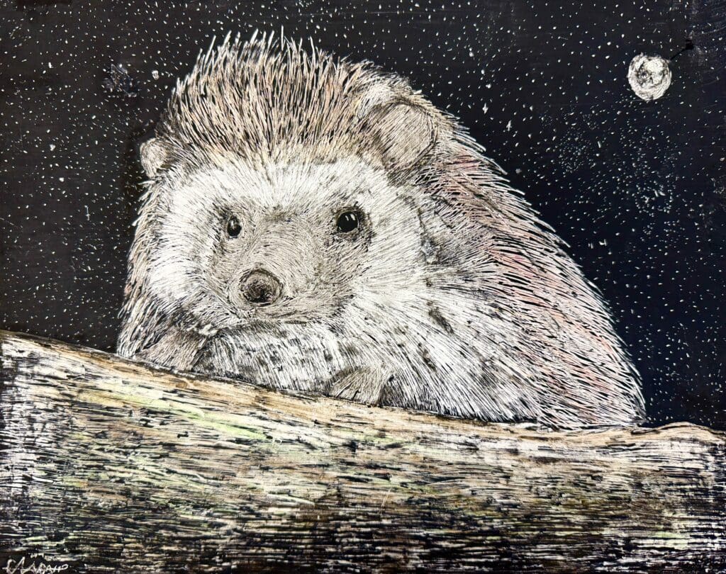 "Hedgehog at Night" Scratchboard and Oil Pastel